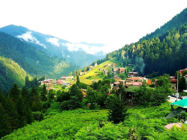 İstanbul Çıkışlı Otobüslü Karadeniz Yaylalar ve Batum Turu (4 Gece Konaklama) (Batum ve Yayla Konaklama)