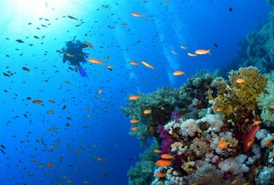 ANKARA’DAN  MAXİ HERŞEY DAHİL SHARM TURU Pegasus Havayolları ile 3 gece