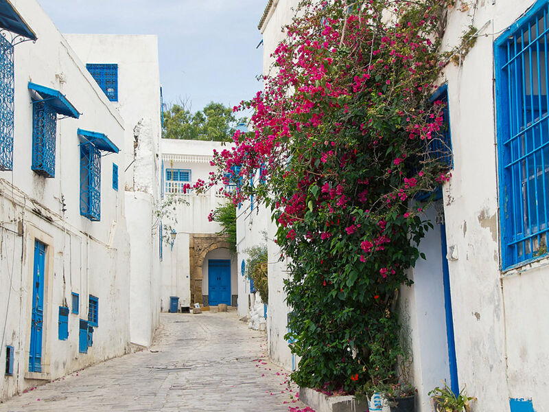 Görkemli Tunus ve Antik Kentler 3 Gece - THY ile (2025 Sonbahar - Kış Dönemi) AT1204
