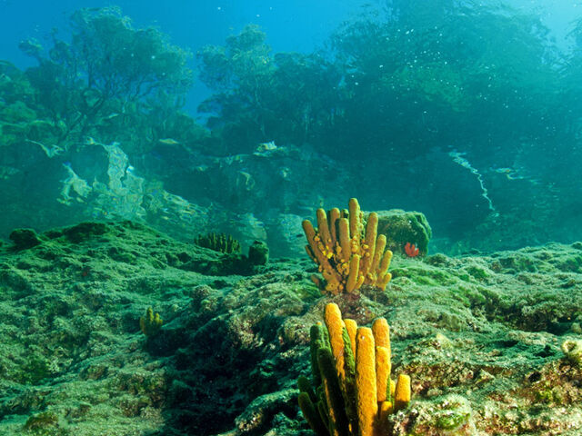 Fethiye Likya Turu 4 Gece Otel Konaklamalı İstanbul Bursa İzmir Çıkışlı (2 Tekne Turu - 1 Jeep Safari Turu Dahil)