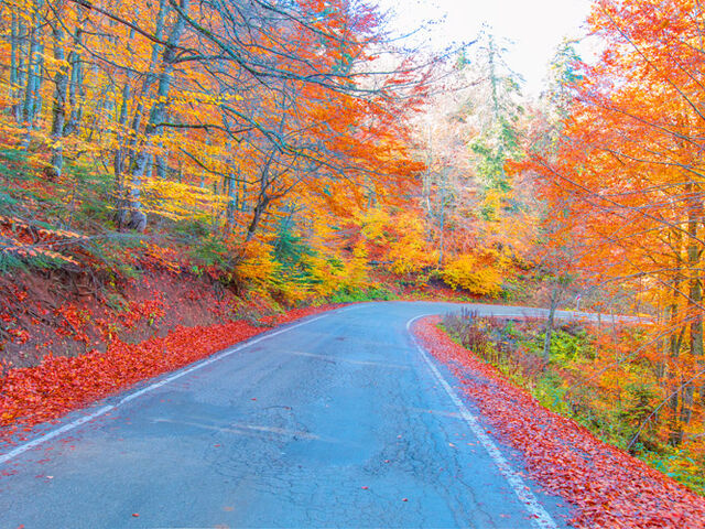 İstanbul Çıkışlı Otobüslü Kastamonu Safranbolu Amasra Abant (1 Gece Konaklama)