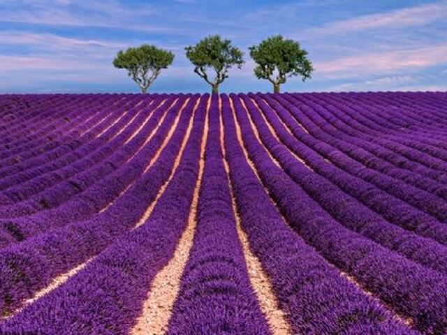 Salda Gölü Pamukkale Çeşme Alaçatı Turu (1 Gece Otel Konaklamalı)