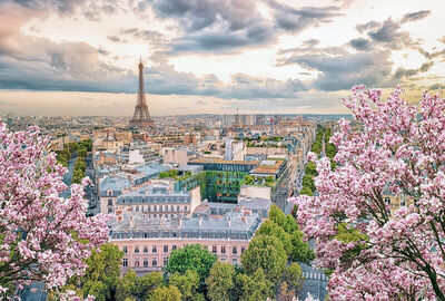 Görkemli Dörtlü Benelüx & Fransa & Almanya & İsviçre 7 Gece - THY ile (2026 Kış Dönemi) (DUS - BSL) AT1068
