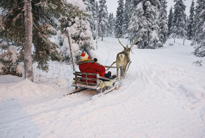 Comfort Lapland Turu Türk Hava Yolları ile 3 Gece (RVN-RVN) 2026 Dönemi