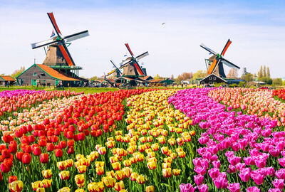 Comfort Benelüx - Paris - Alsace Turu Pegasus Hava Yolları ile 6 Gece Ekstra Turlar Dahil AMS-BSL