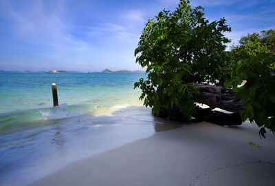 PHUKET & PATTAYA & BANGKOK TURU Emirates Airlines ile 5 gece