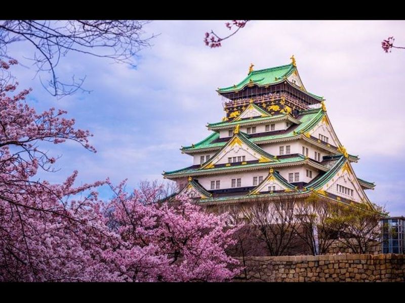 BÜYÜK JAPONYA 2026 TK (HND-KIX)