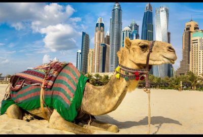 Larnaca Hareketli Çölün Ortasındaki Vaha: Prestij Dubai Turu Cyprus Hava Yolları ile Dubai Şehir Turu Dahil 3 Gece 4 Gün (447)