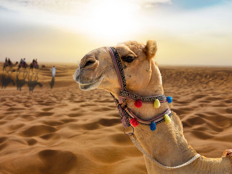 ANKARA’DAN 6 KAL 3 ÖDE DUBAİ TURU Pegasus Havayolları ile 6 gece