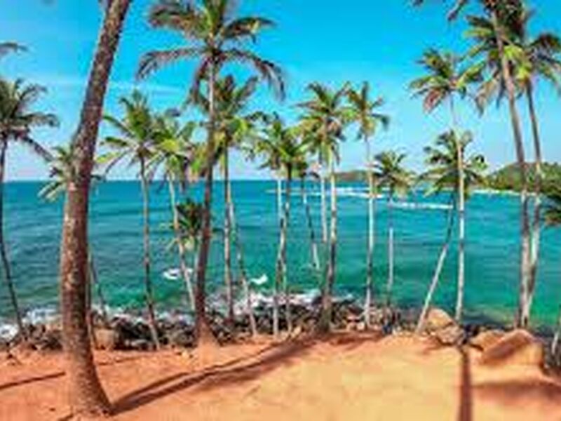 SRİ LANKA G9 (CMB - CMB)