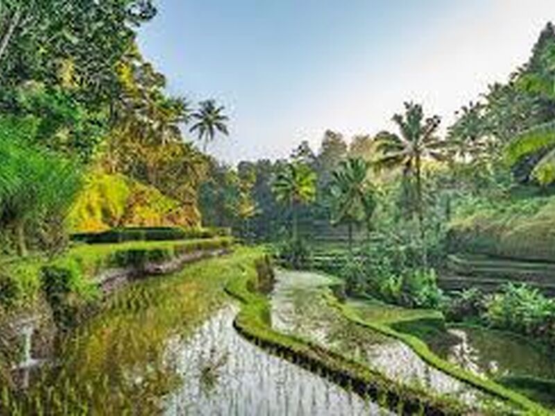 PHUKET & BANGKOK & PATTAYA EK 2025 (HKT-BKK)