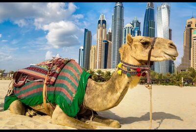 Ajet İle Çölün Ortasındaki Vaha Dubai Şehir Turu 3 Gece (336) 